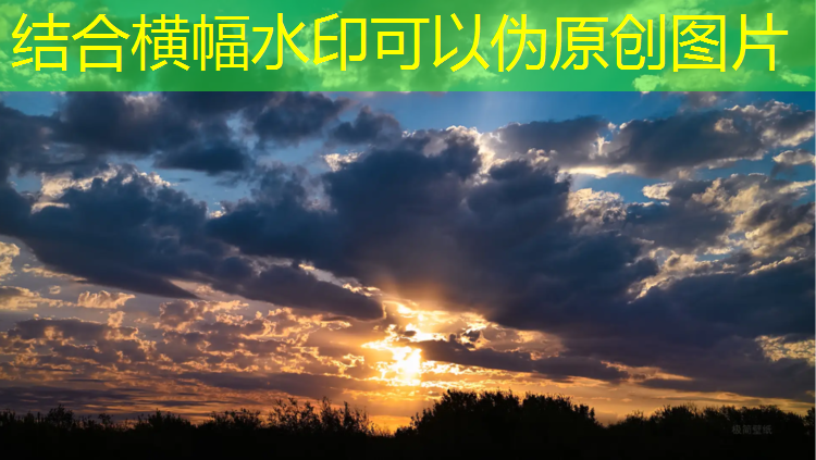 京口区塑胶跑道施工
