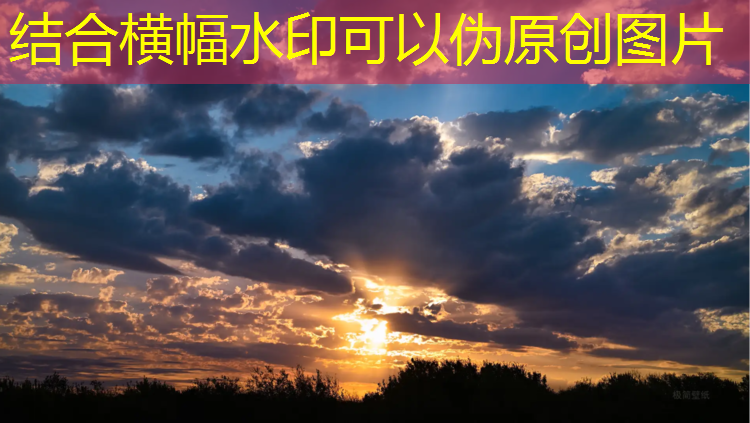 体操垫可以练的内容