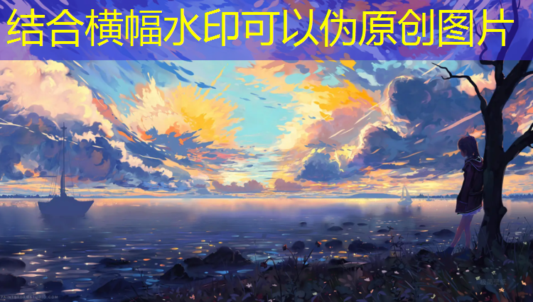 跆拳道护具价格表