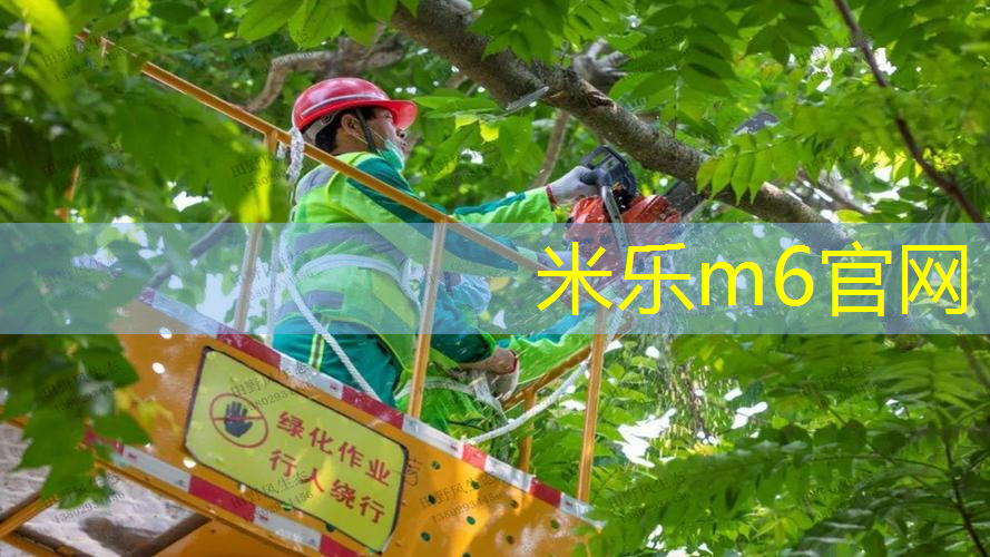 米乐m6官网登录入口：网球拍绑带哪个好看点呢