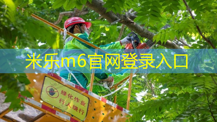 mile·米乐m6：网球拍减震器工作原理