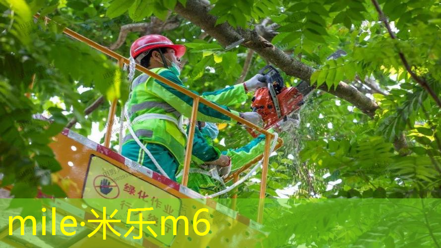 米乐m6官网：海德网球拍三千多块能用吗_