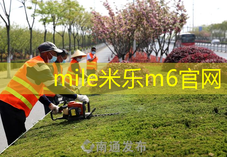 mile·米乐m6：百宝力网球拍男
