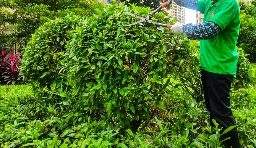 米乐m6官网：网球拍手柄能换吗_