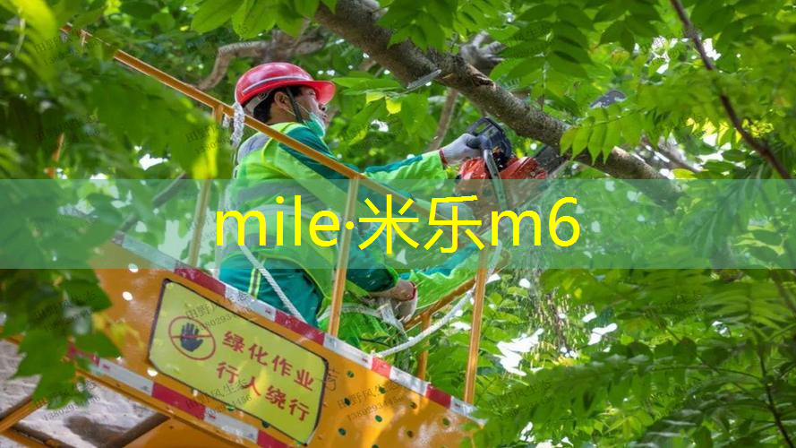 米乐m6官网：网球拍越打越轻吗为什么