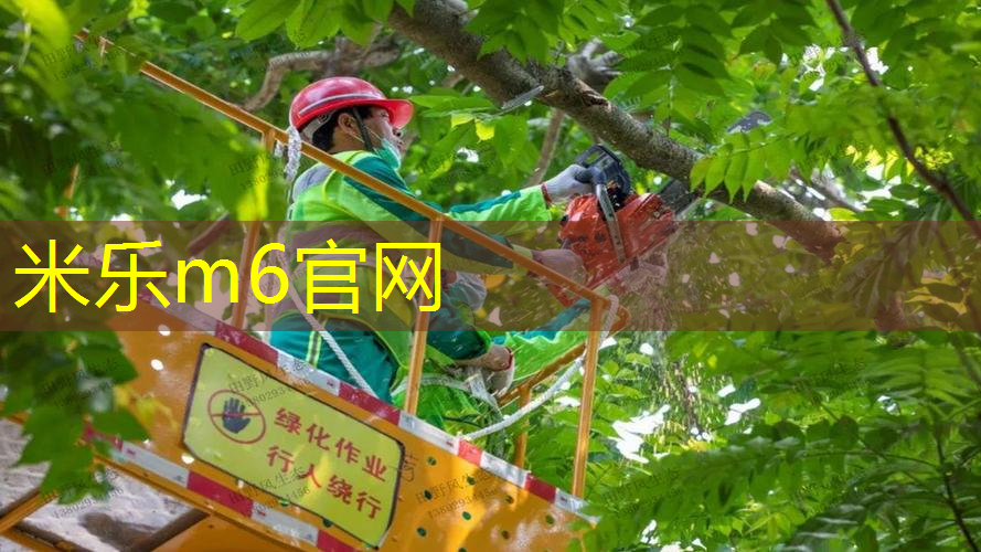 米乐：田径小步跑训练器材