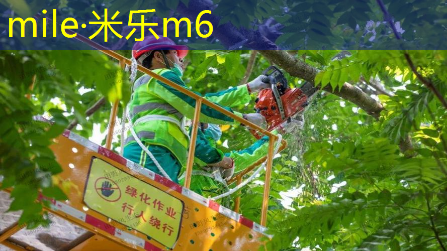 米乐m6官网：不怕日晒雨淋的乒乓球台即嗨体育更新不了