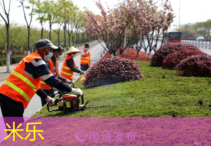 mile·米乐m6：室内健身器材星牌台球桌