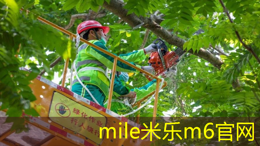 乒乓球台家用在墙上