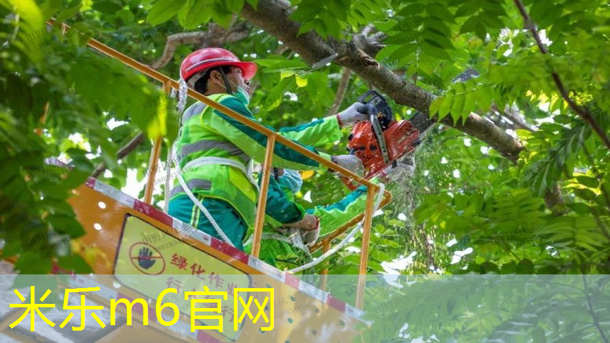 米乐m6官网：乒乓球台宽长和周长