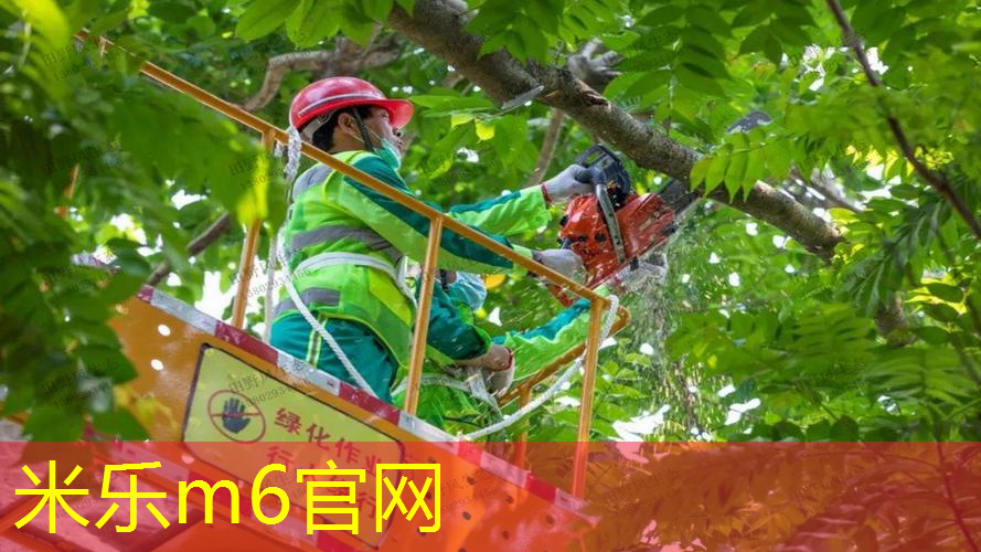 米乐m6官网：室内健身操冬天