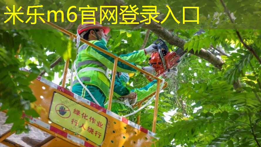 米乐m6官网：二分之一乒乓球台家用