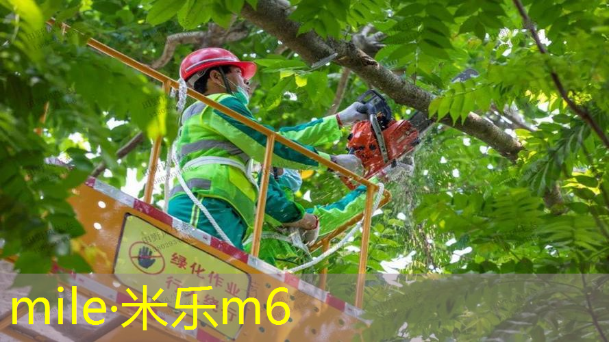米乐m6官网：田径运动员训练器材