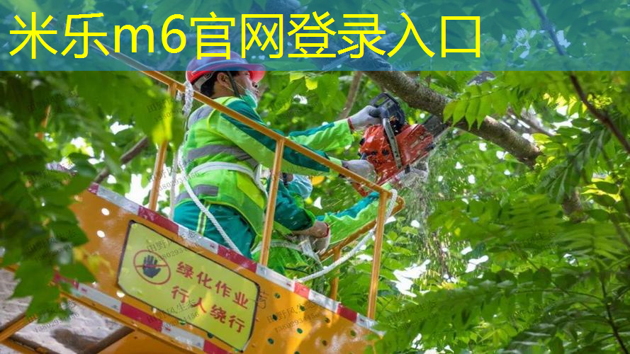 米乐：智能选购！塑胶跑道材料样品展示架让您事半功倍！