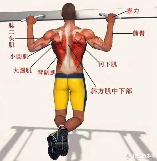 室内外健身器材绿化工程