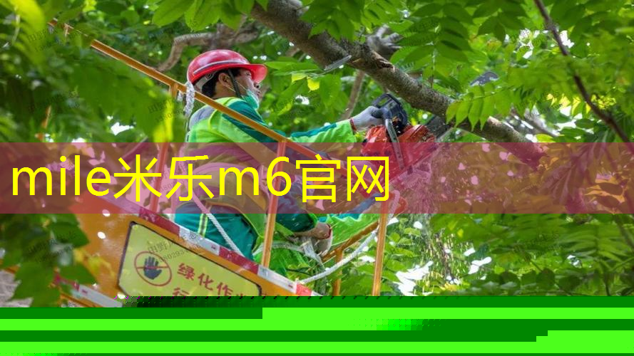 网球拍减震器工作原理