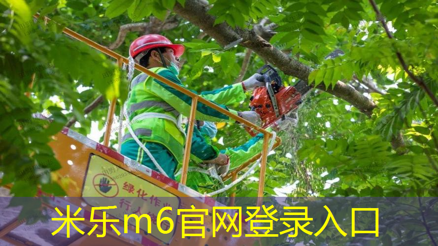 全金属网球拍吉他谱