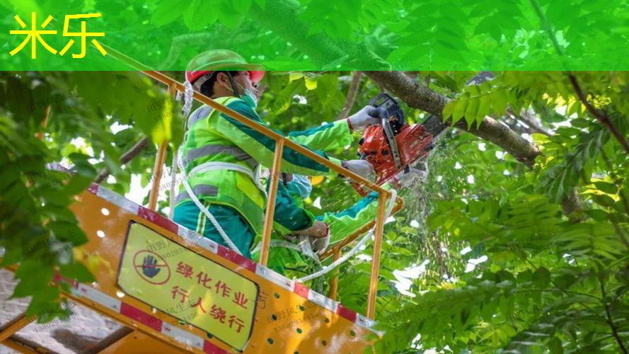 海德网球拍三千多块能用吗_