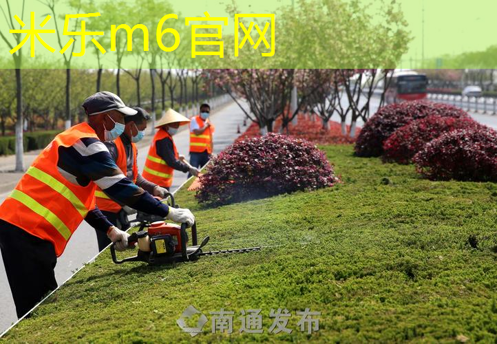 百宝力网球拍男