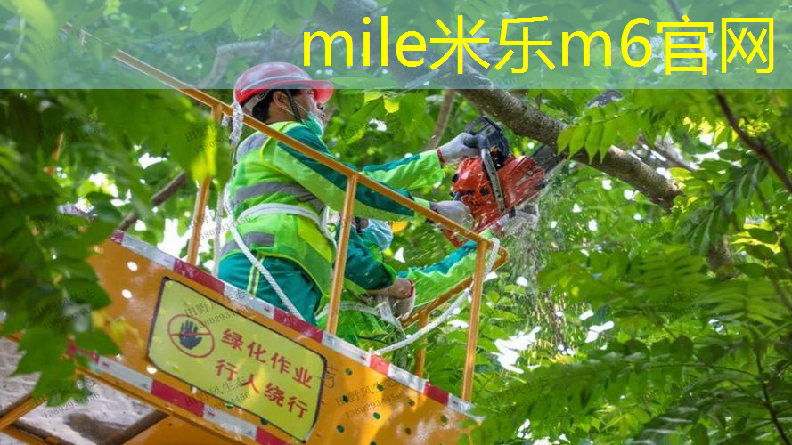 网球拍越打越轻吗为什么