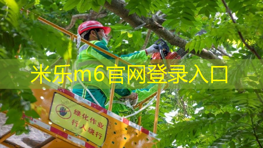 乒乓球台宽长和周长