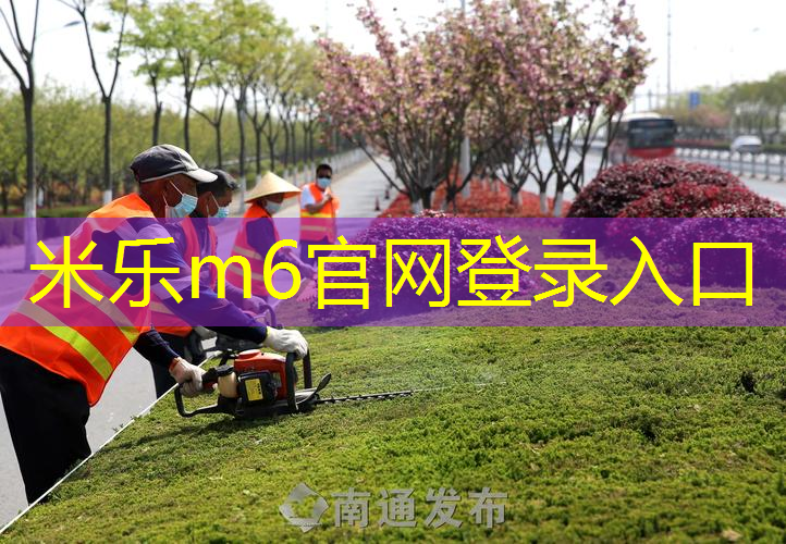 体肓篮球器材