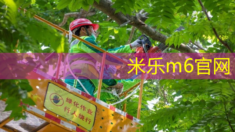 二分之一乒乓球台家用