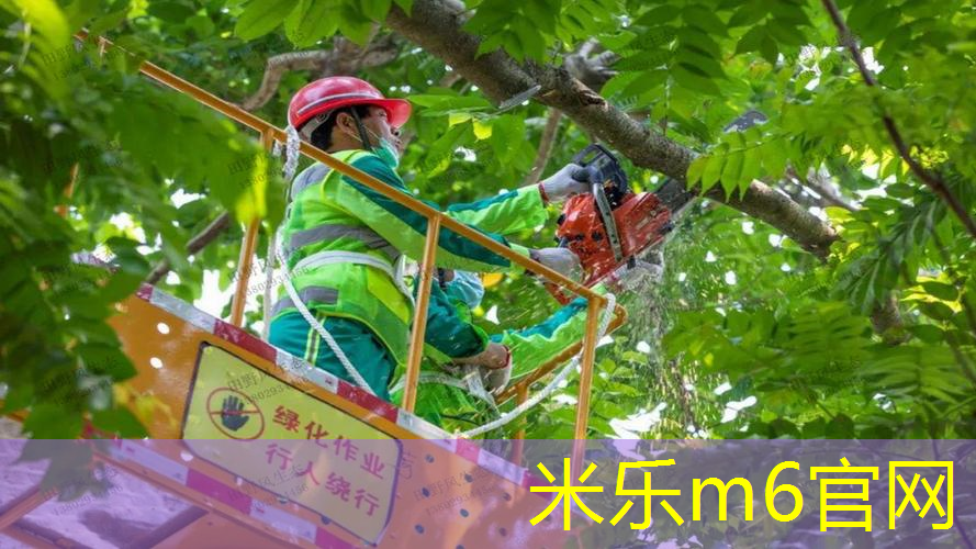 田径运动员训练器材
