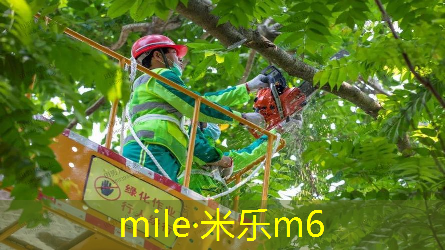 智能选购！塑胶跑道材料样品展示架让您事半功倍！